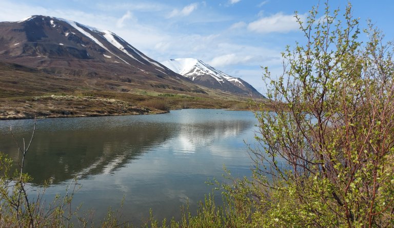 Tiltektardagur á Dalvík laugardaginn 29. júlí
