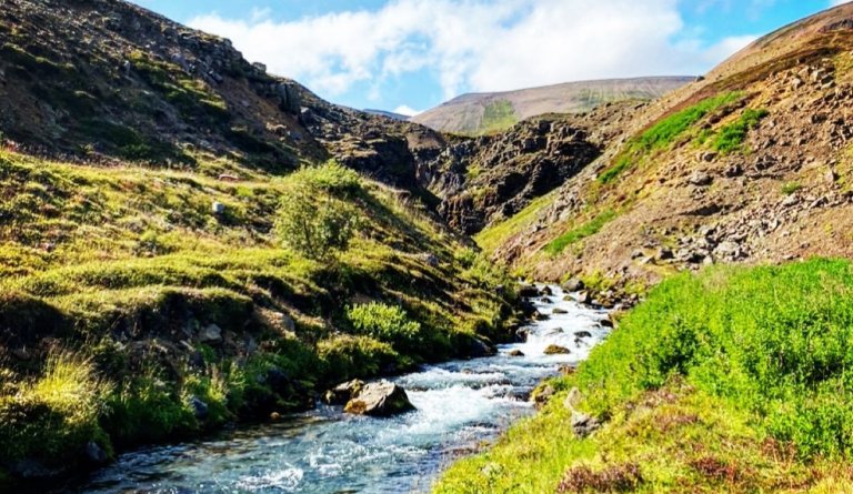 Niðurstöður úr skoðanakönnun vegna smávirkjunar í Brimnesá.