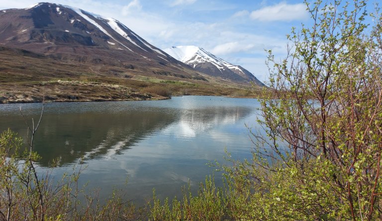 Starfsfólk við íbúðakjarna og skammtímavistun: