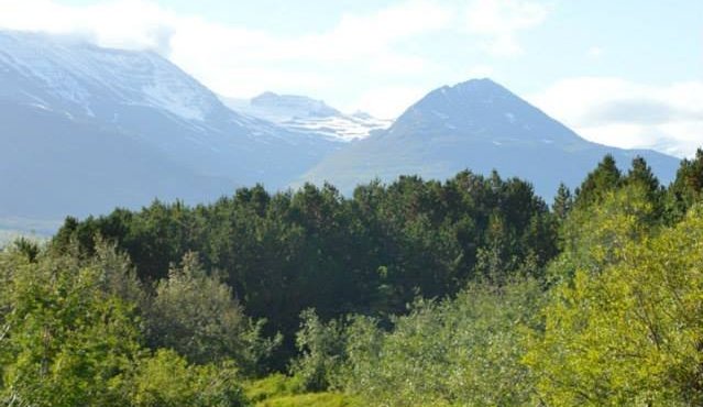 Verðfyrirspurn vegna endurbóta á göngustíg úr Skógarhólum að Bögg