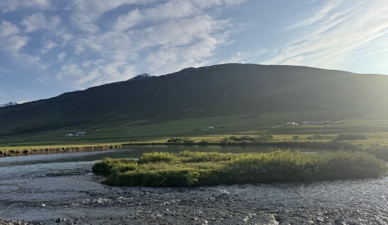 Tilkynning vegna tímabundinna tæknilegra örðugleika við birtingu reikninga á island.is