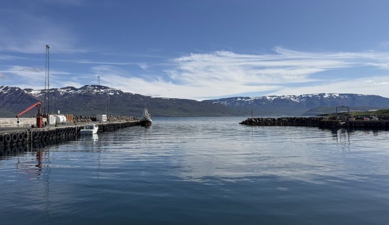Dalvíkurbyggð semur við Stefnu um nýja heimasíðu