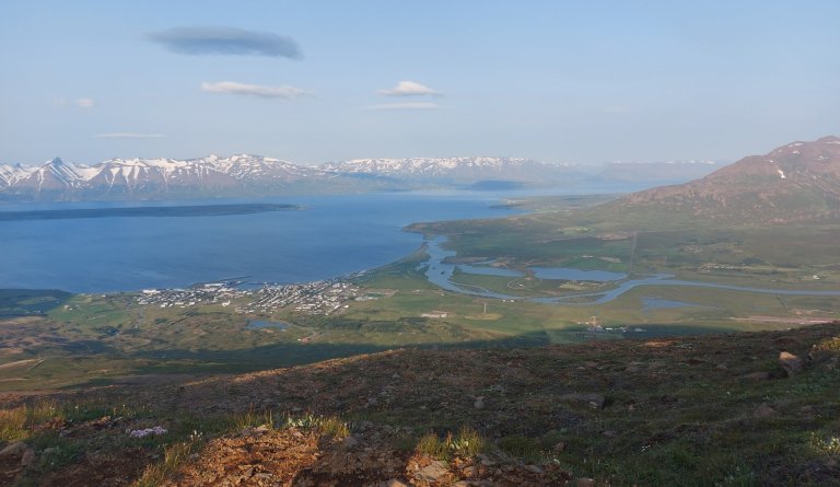 Netárás gerð á Dalvíkurbyggð