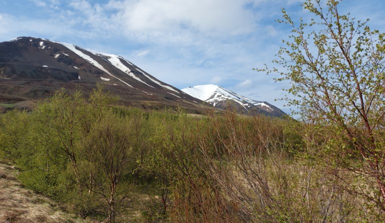 Tilkynning frá Eigna- og framkvæmdadeild