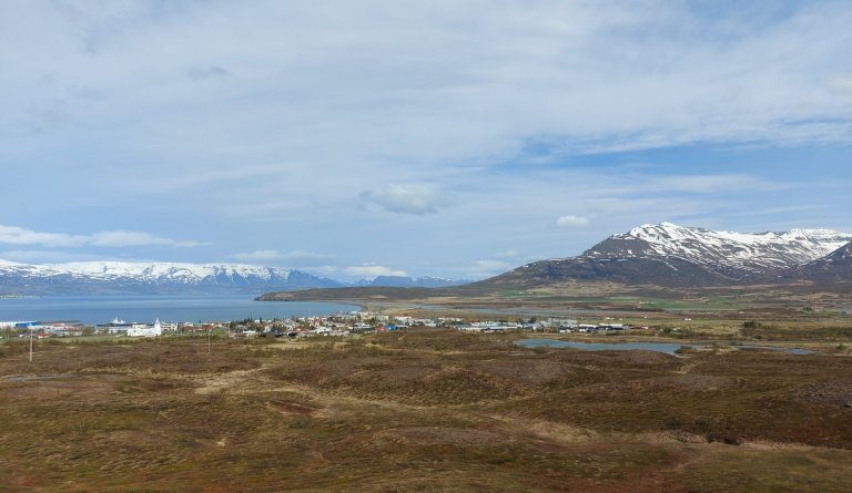 Hugmyndasöfnun fyrir uppbyggingu í skógarreitunum Brúarhvammsreit og Bögg.