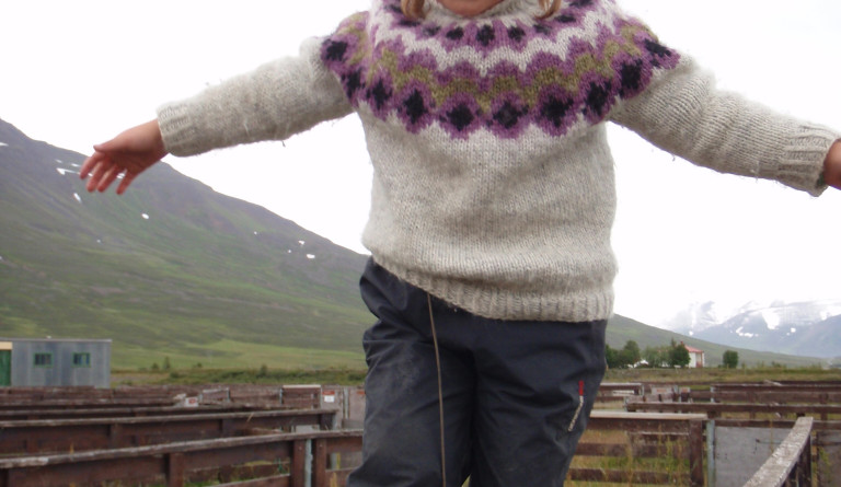 Réttarferð Kötlukots í ágúst