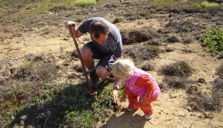 Gróðursett tré norðan við leikskólann Leikbæ