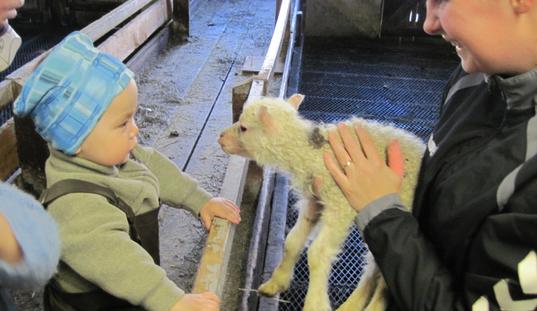 Flöggun Grænfána, sveitaferð og grillveisla