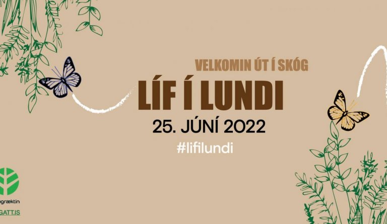 Líf í Lundi - Hánefsstaðareitur