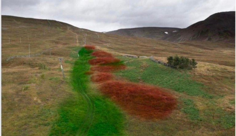 Landslagsmótun á skíðasvæðinu