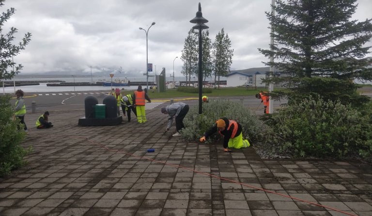 Framlengdur frestur: Laus störf í vinnuskóla - yfirflokkstjóri & flokkstjórar