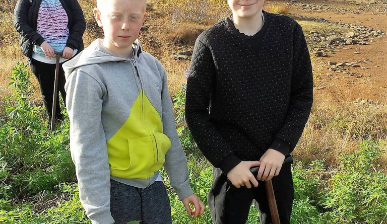 7. bekkur plantar trjám