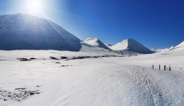 Sjötta upplýsingabréf sveitarstjóra