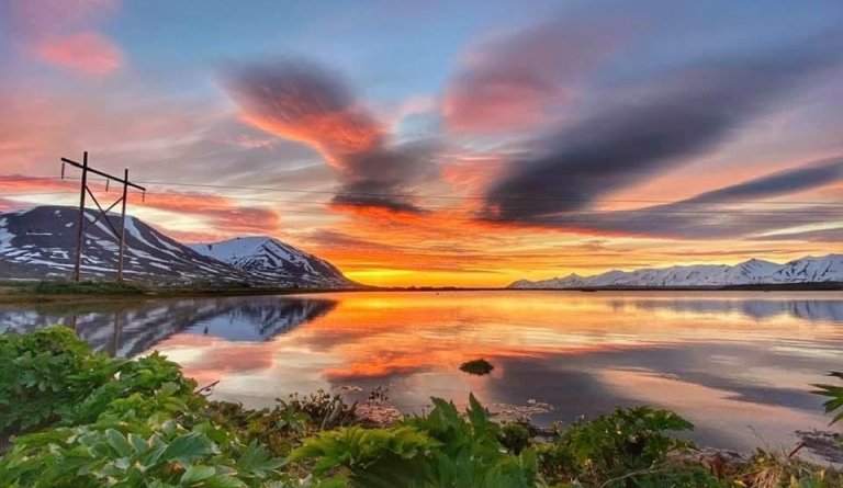 Hertar aðgerðir, þörf á samstöðu.