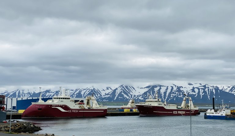 Mikið um að vera í Dalvíkurbyggð