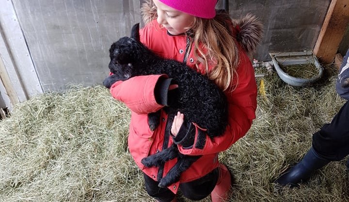 Sveitaferð hjá grunnskólastigi