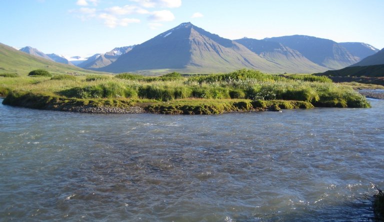 Dalvíkurbyggð auglýsir laus til umsóknar veiðileyfi í Svarfaðardalsá