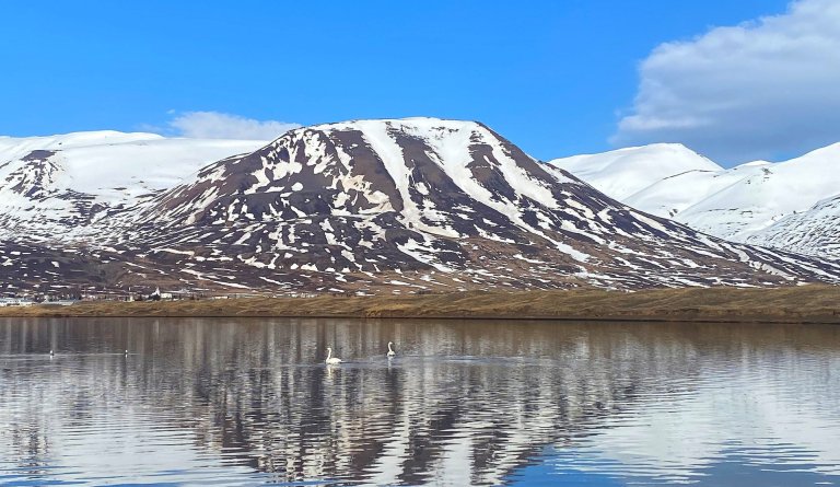 Tilkynning um lokun frá hitaveitunni-í Svarfaðardal