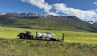 Fjárhagsáætlunargerð 2026