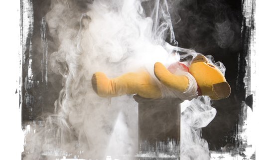 Setning Akureyrarvöku í Lystigarðinum