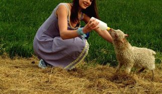 Tíska, tónlist og skógarkaffi.