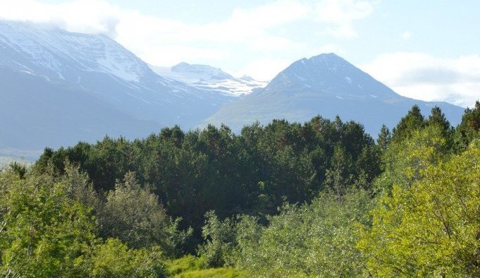 Söfnun á brotajárni í Dalvíkurbyggð