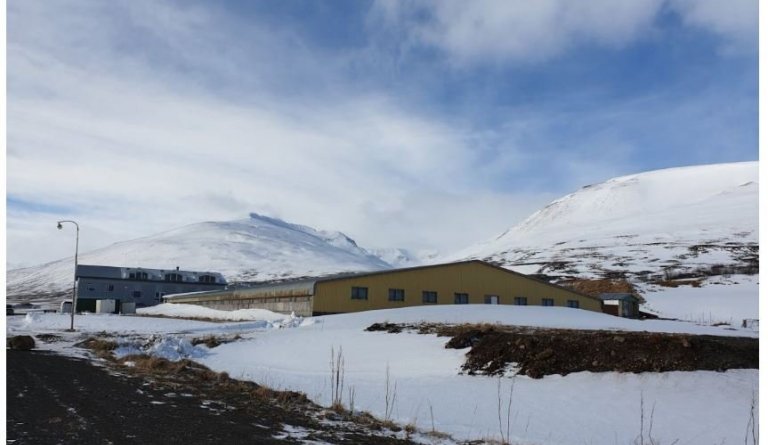 Böggvisstaðarskáli til leigu
