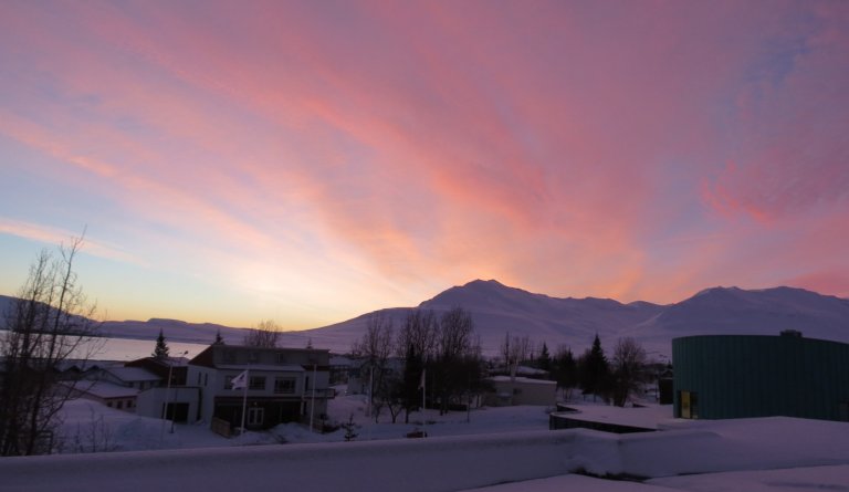 Covid-laus Dalvíkurbyggð