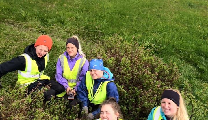 Laus störf nemenda vinnuskóla fyrir sumarið 2017