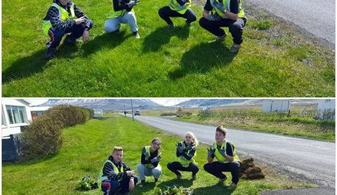 Laus störf flokksstjóra vinnuskóla