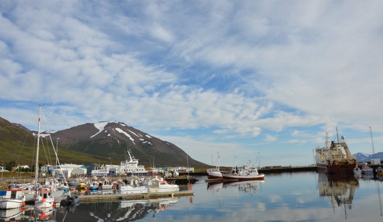 Laust er til umsóknar starf hjá Hafnasjóði Dalvíkurbyggðar