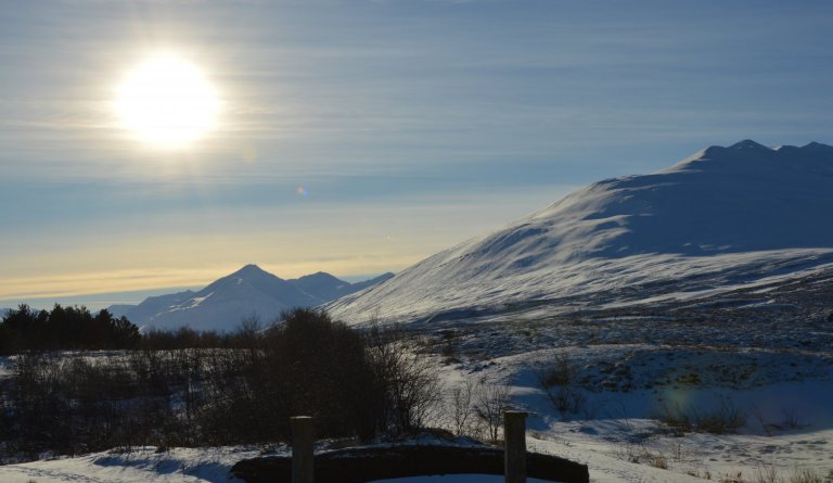 Laus til umsóknar - Grunnskólakennarar