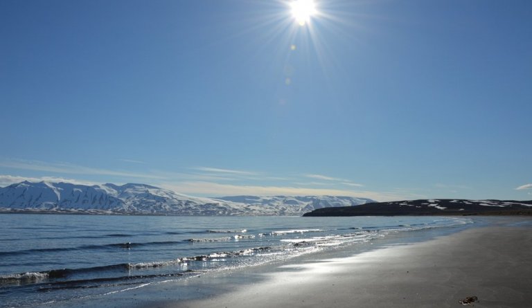 Opið fyrir umsóknir í Nýsköpunar- og þróunarsjóð Dalvíkurbyggðar