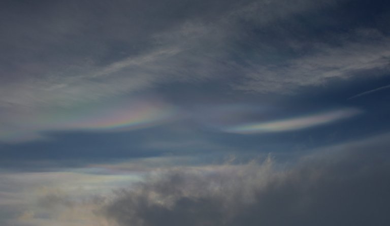 Íþróttamaður Dalvíkurbyggðar 2022