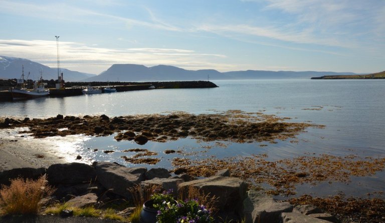 Nafnasamkeppni - nýjar götur á Hauganesi