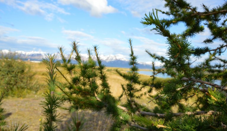 Ályktun um framtíð Reykjavíkurflugvallar