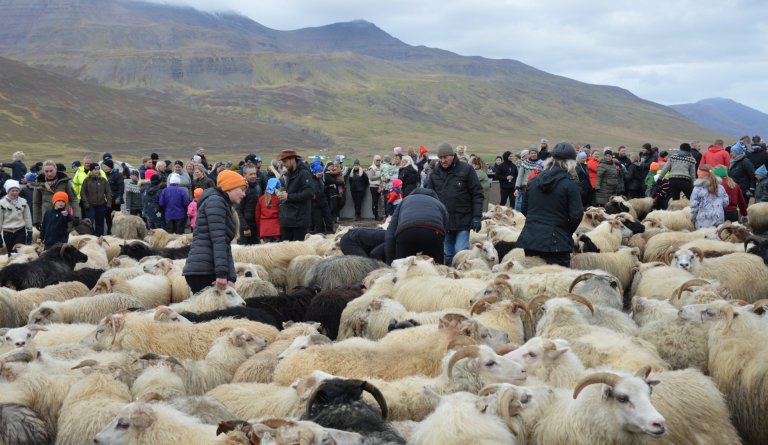 Talning atkvæða.