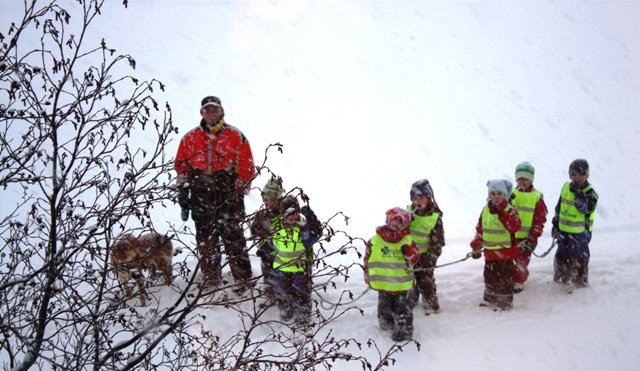 Krakkar á ferð í hríðinni