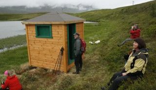 Fuglahús og göngubrú við Hrísatjörn