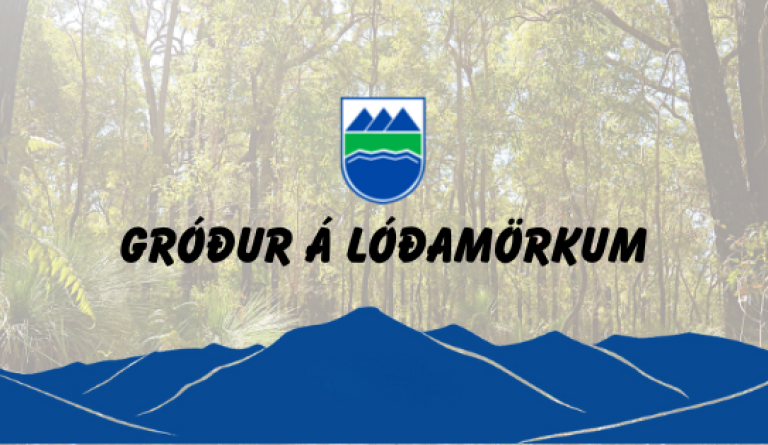 Gróður á lóðarmörkum