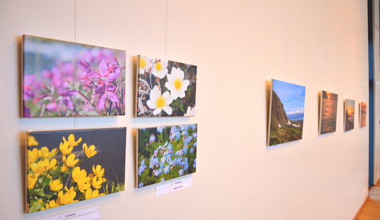 Dalvíkurbyggð - Náttúrulega