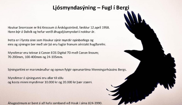 Ljósmyndasýningin ,,Fugl í Bergi