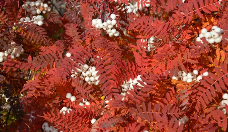 Septemberspá Veðurklúbbsins á Dalbæ