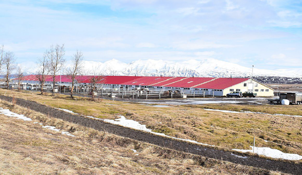 Hesthúsasvæði Hringsholti - Skipulagslýsing fyrir nýtt deiliskipulag