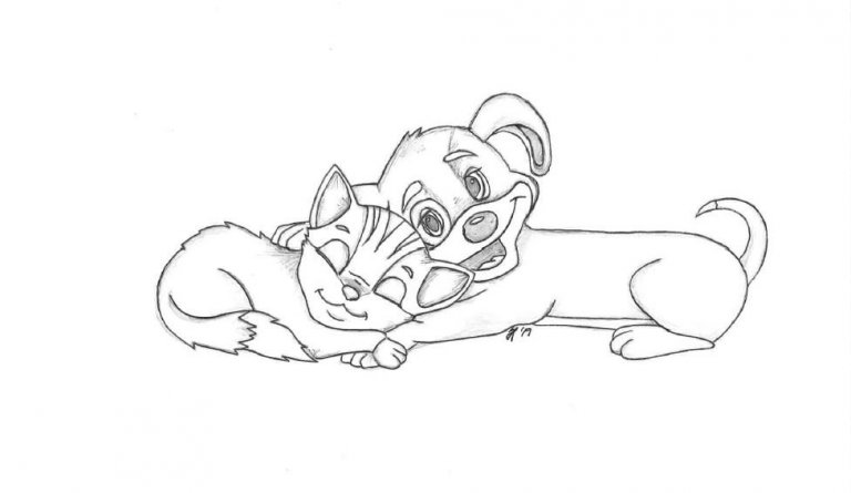 Hunda- og kattahreinsun í Dalvíkurbyggð