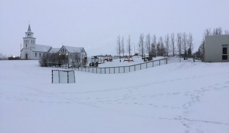 Starfsdagur 11. febrúar