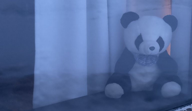 Hr. Panda bíður spenntur eftir börnum í bangsaleiðangri!