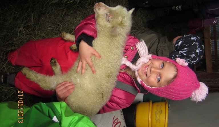 Sveitaferð á Steindyr