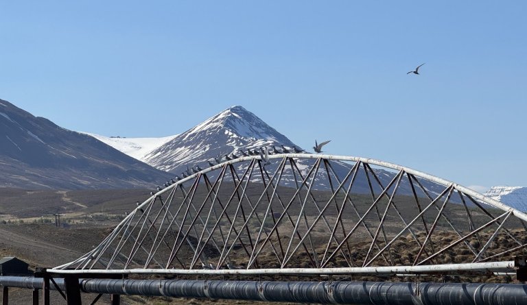 Tilkynning frá veitum - lokun heitt vatn Karlsrauðatorg Dalvík.