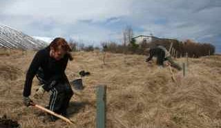 Húsabakkadagur á miðvikudag